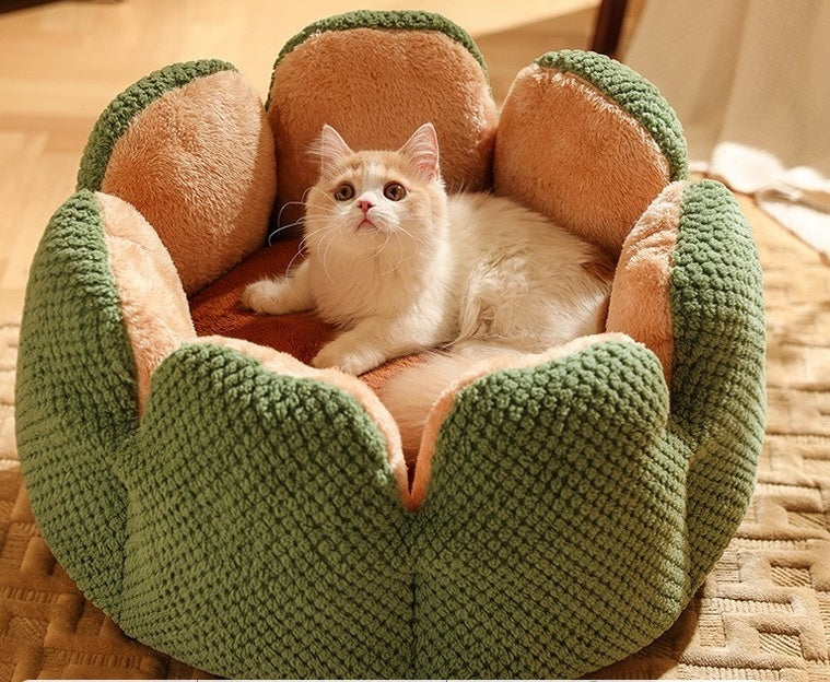 Soft And Warm Cactus Petal Nest