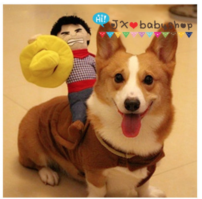 Costume For Dog Cat