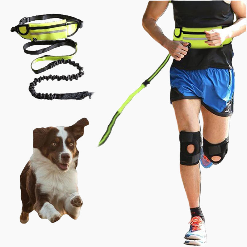 Pet Walking And Training Belt With Shock Absorbing Bungee Leash