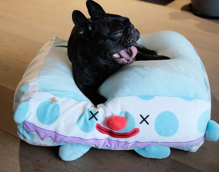Clown Dog Cat Bed In A Cozy