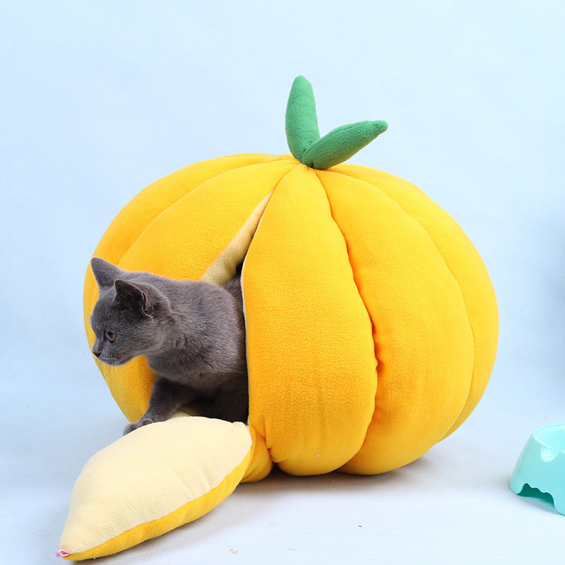 Pumpkin Nest For Cats and Dogs